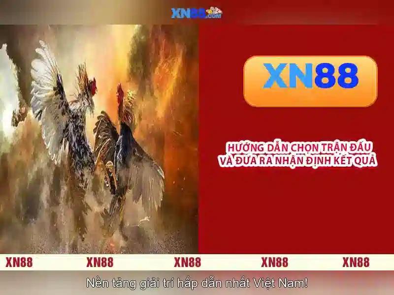 Giới thiệu xn88