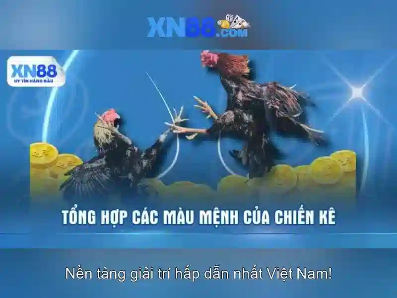 xn88 là gì và cách khám phá nền tảng chơi trực tuyến an toàn