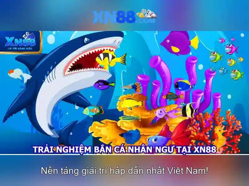 xn88: Giới thiệu và Đánh giá