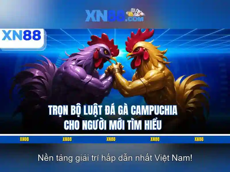 Giới thiệu về xn88