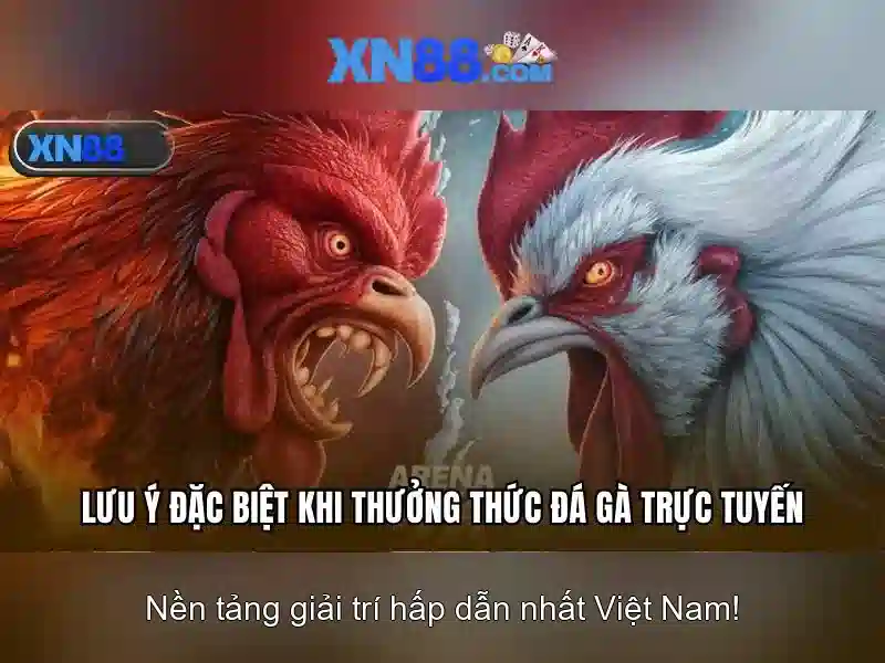 xn88: Nền tảng giải trí trực tuyến nổi bật