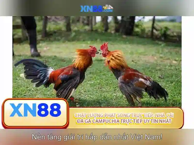 xn88: Tổng quan về nền tảng trực tuyến