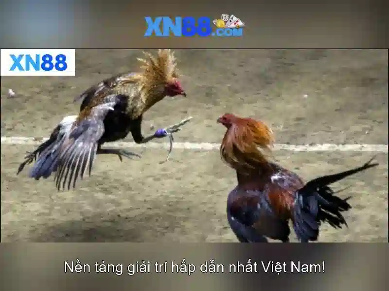 Quy_dinh_dang_ky_TK