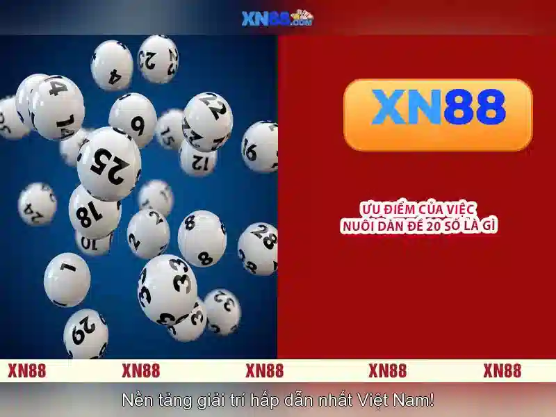 Tên gọi và mục tiêu