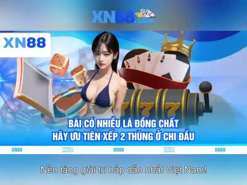 Nội dung và tính năng