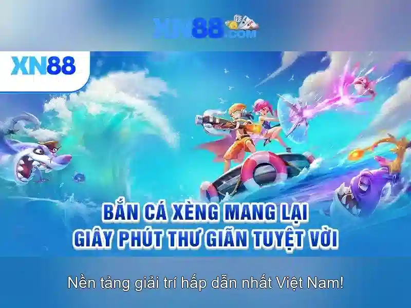 Nền tảng và tổ chức