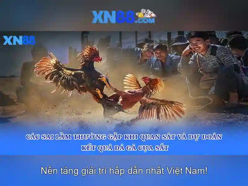 Tính năng nổi bật
